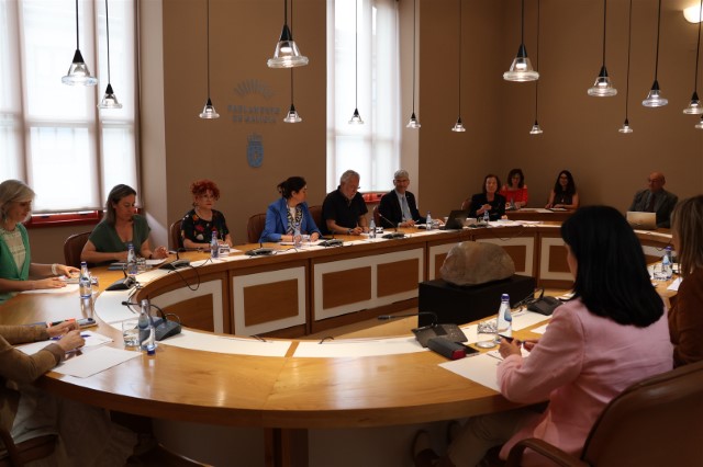Convocatoria da sesión plenaria do 8 de xullo de 2025